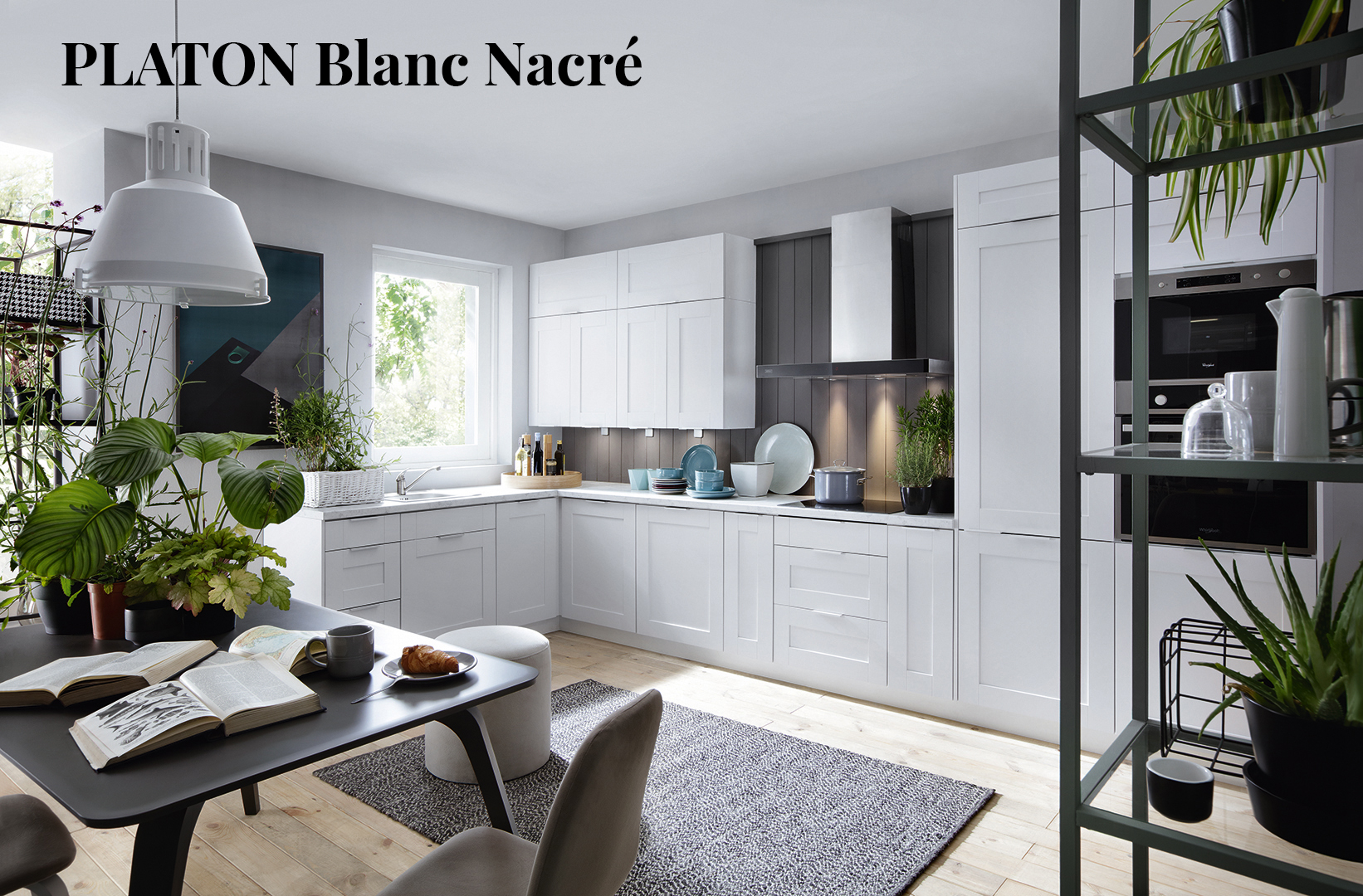 Collection PLATON